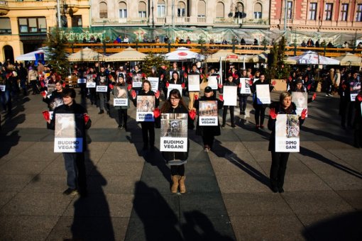 Obri�imo krv s na�ih ruku. Budimo vegani 27 [ 259.28 Kb ]