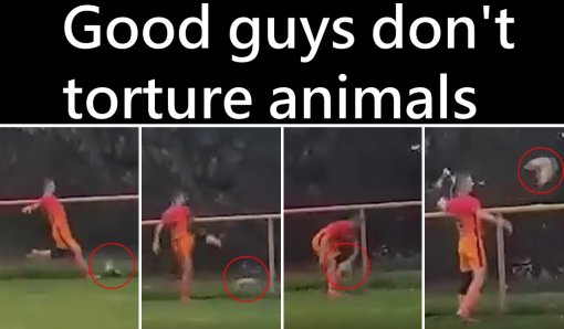 Good guys don't torture animals [ 222.92 Kb ]