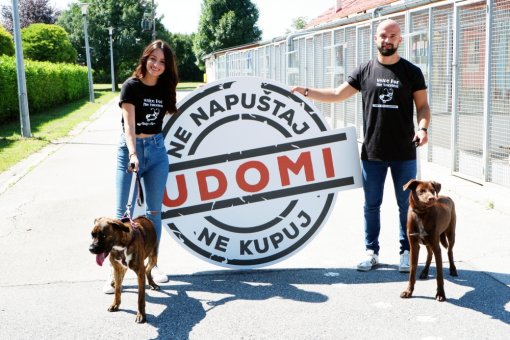 Ingrid i Luka u skloni�tu [ 636.19 Kb ]