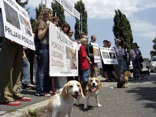 Protest in front of the Faculty of Veterinary Medicine 2