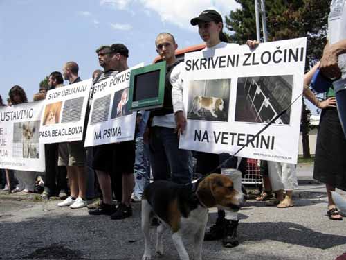 Protest in front of the Faculty of Veterinary Medicine 3