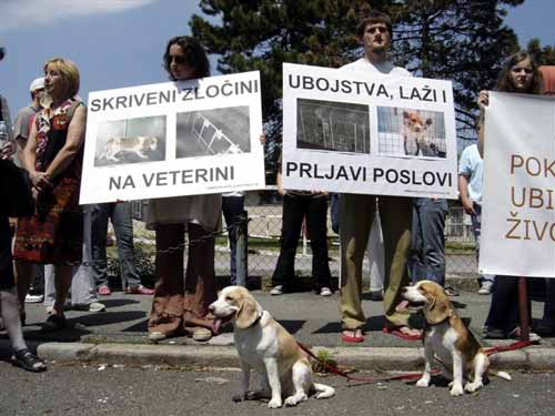 Protest in front of the Faculty of Veterinary Medicine 4