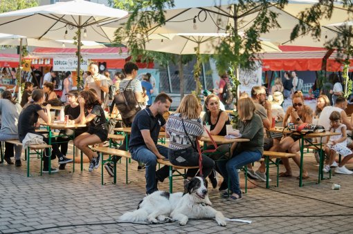 zegevege [ 687.12 Kb ]