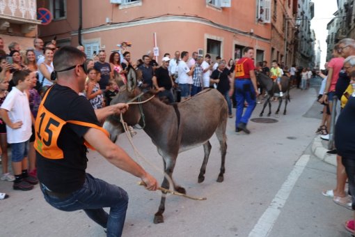 utrke magaraca [ 184.52 Kb ]