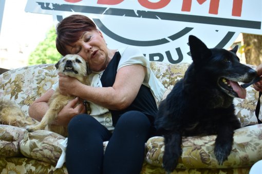 Zdenka Kova�i�ek [ 281.25 Kb ]