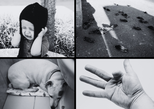 pirotehnika kola� [ 745.09 Kb ]