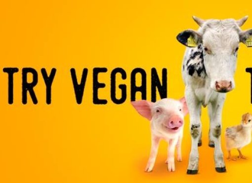 veganuary veganuary