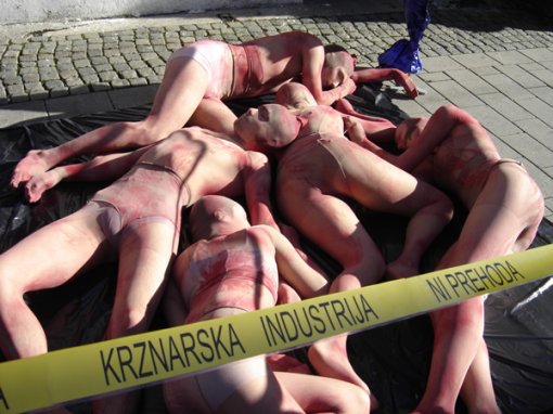 Performans protiv krzna u Mariboru2