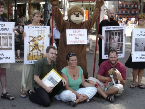 Stop experiments on primates 2