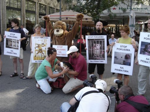 Stop experiments on primates 3