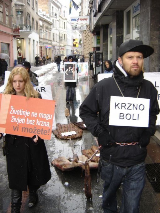 Anti-fur demo in Sarajevo 1 [ 145.02 Kb ]