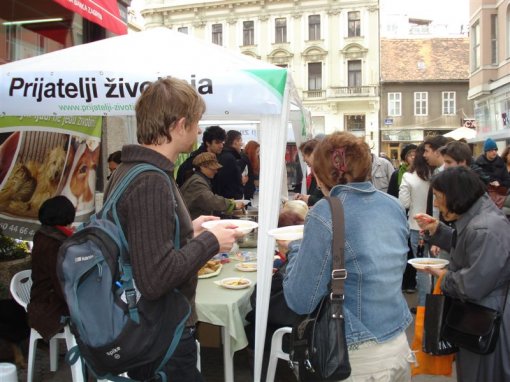 Zagreb 2008 - Meatout 1 [ 113.19 Kb ]