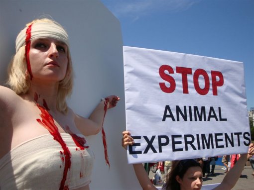 Dan borbe protiv pokusa na životinjama [ 74.68 Kb ]