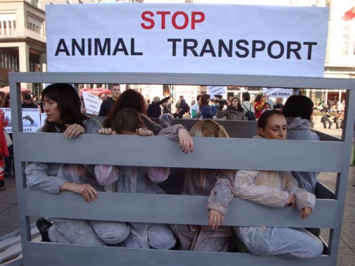 Demo against animal transport 2009 [ 91.72 Kb ]