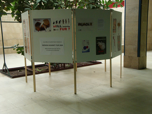 DAF 2009 - exhibition3