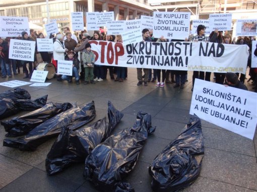 Protest for the implementation of the Animal Protection Act 4 [ 125.54 Kb ]