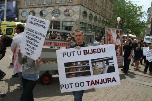 Demo against animal transport, Zagreb 2012 [ 105.20 Kb ]