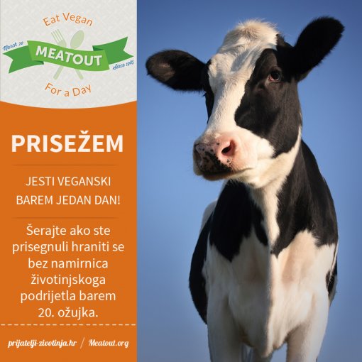 Meatout prisega 1 dan [ 487.98 Kb ]