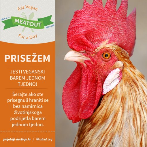 Meatout prisega 1 tjedno [ 751.25 Kb ]