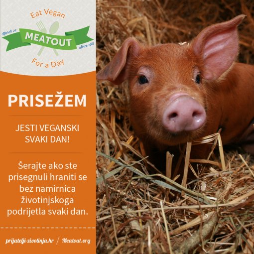 Meatout prisega svaki dan [ 673.25 Kb ]