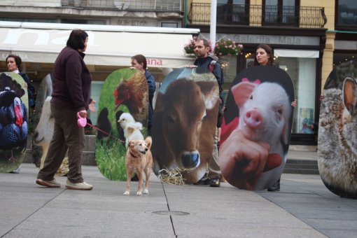 World Farm Animals Day - Martina Dedovic [ 209.67 Kb ]