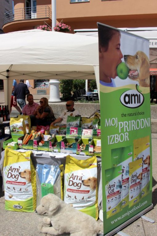 Kresoja - AMI [ 187.69 Kb ]