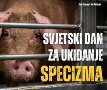 �ivotinje imaju pravo da ih ljudi ne iskori�tavaju